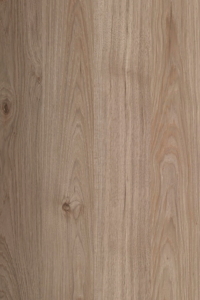 Jackson Hickory