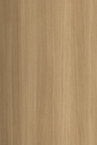 Primary Oak