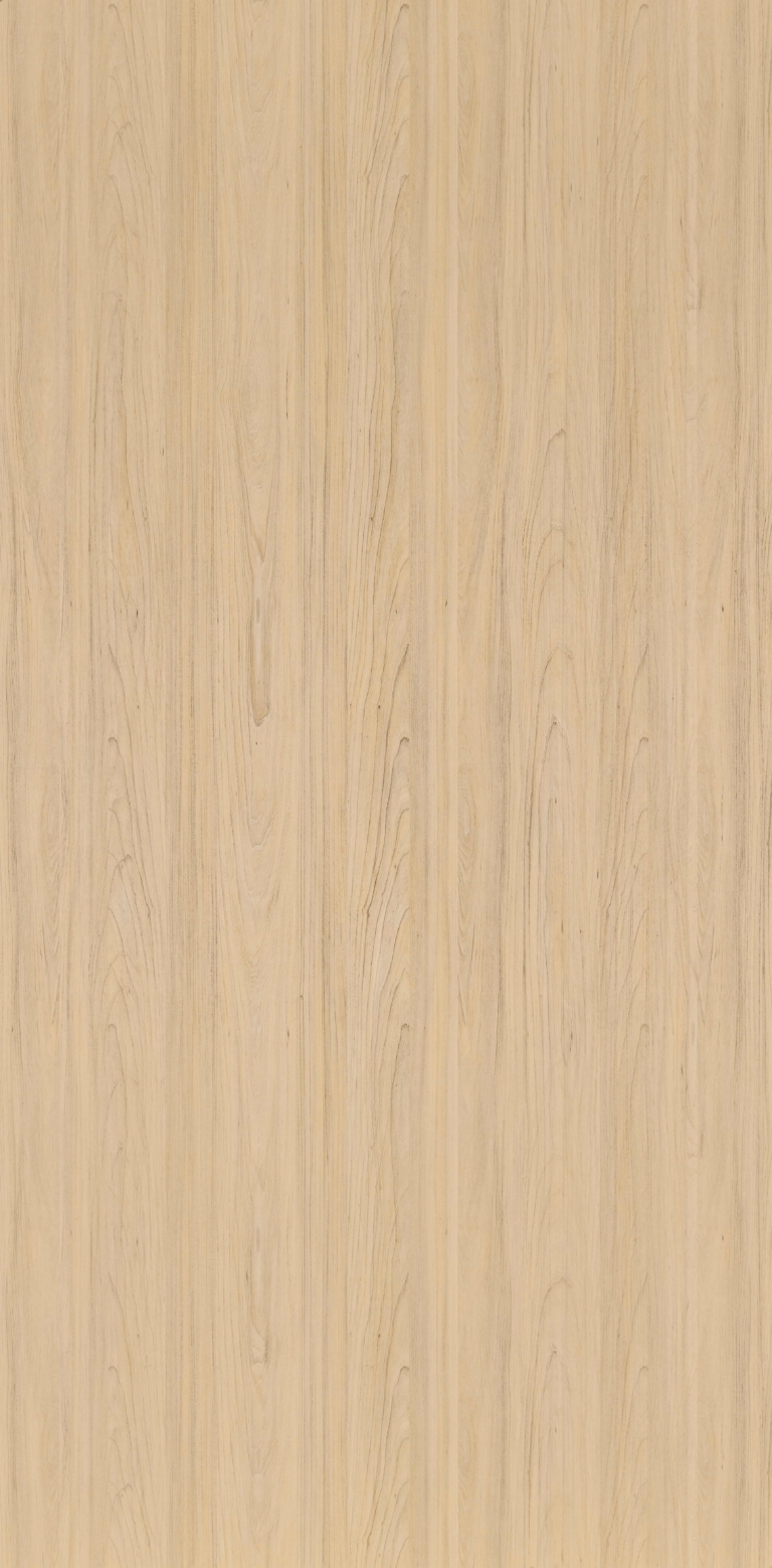 Coastal Elm