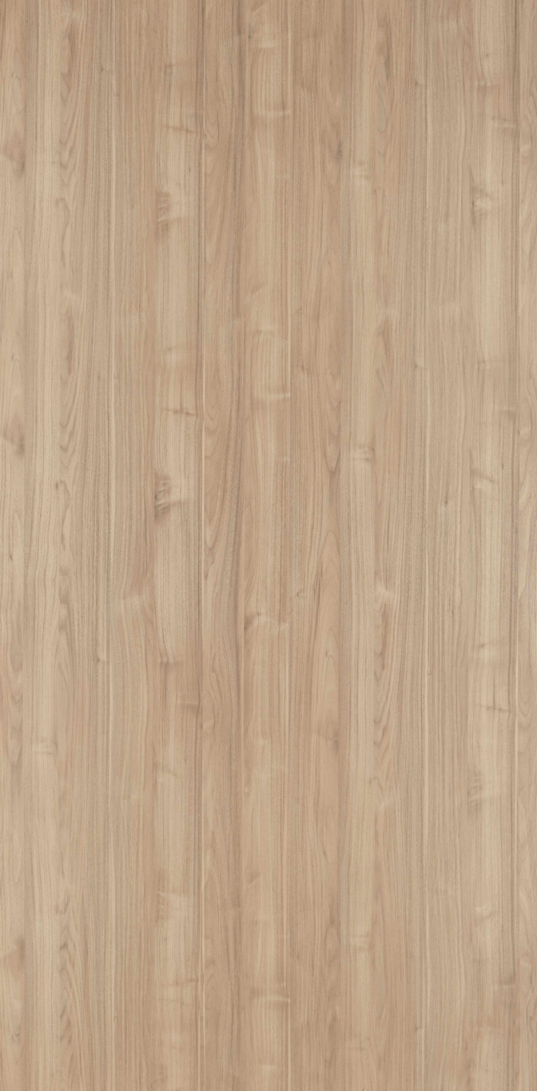 Northern Oak