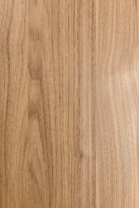 Northern Oak
