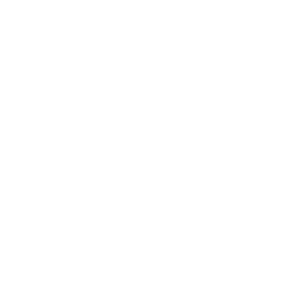 SwiftLiner benefit hidden fixings icon